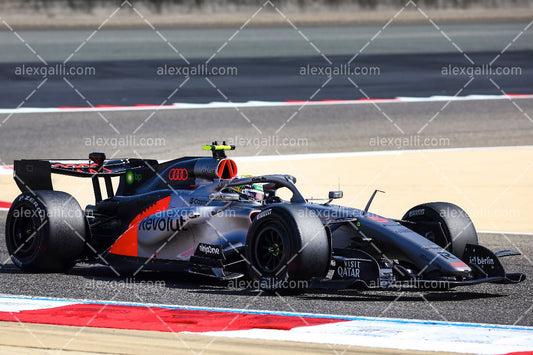 F1 2026 Gabriel Bortoleto - Audi - 202600016