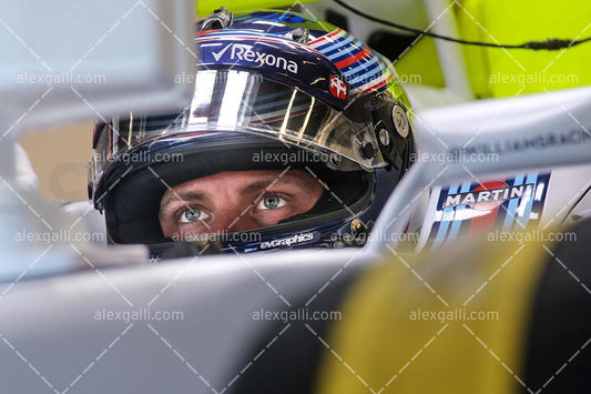 F1 2015 Valtteri Bottas - Williams - 20150022