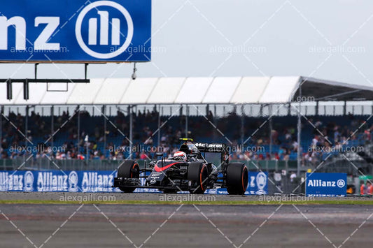 F1 2015 Jenson Button - McLaren - 20150029