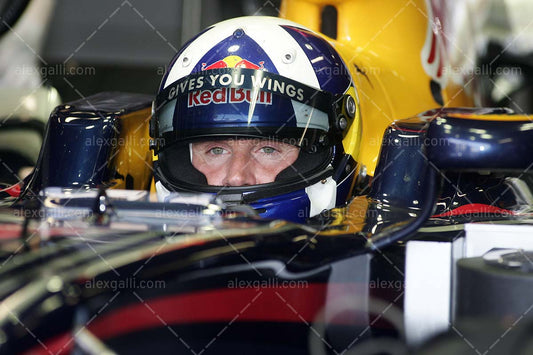 F1 2008 David Coulthard - Red Bull - 20080027