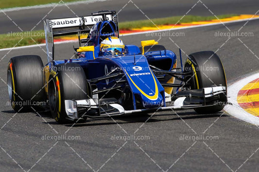F1 2015 Marcus Ericsson - Sauber - 20150033