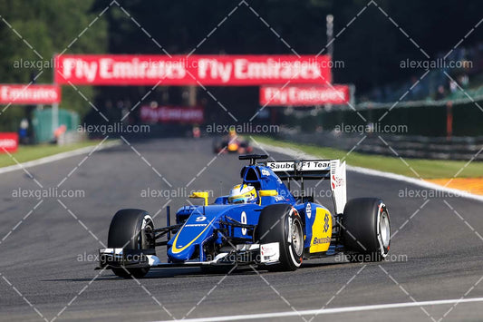 F1 2015 Marcus Ericsson - Sauber - 20150034