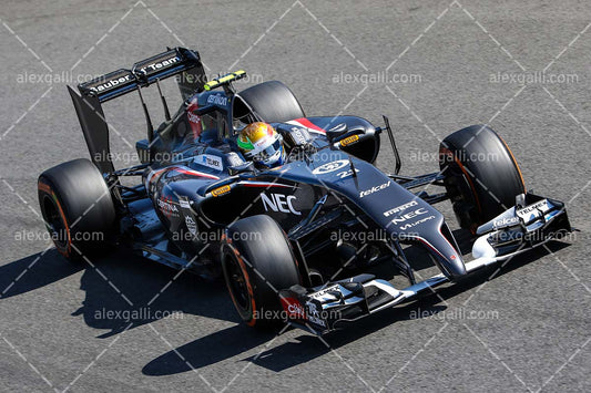 F1 2014 Esteban Gutierrez - Sauber - 20140037