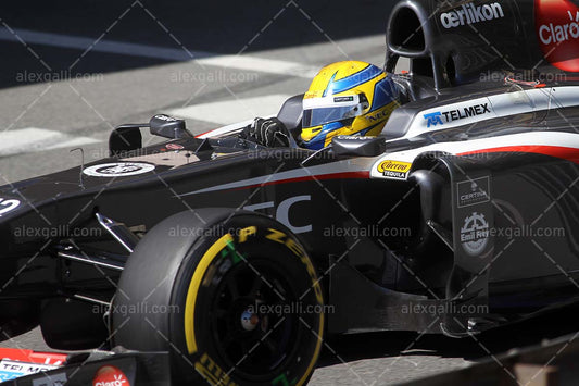 F1 2013 Esteban Gutierrez - Sauber - 20130018