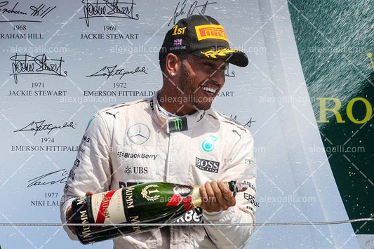 F1 2015 Lewis Hamilton - Mercedes - 20150039