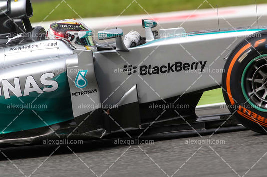 F1 2014 Lewis Hamilton - Mercedes - 20140052