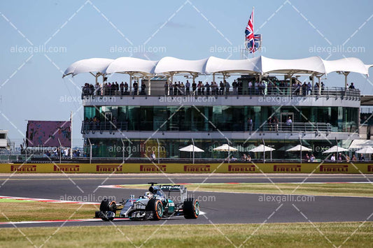 F1 2015 Lewis Hamilton - Mercedes - 20150049