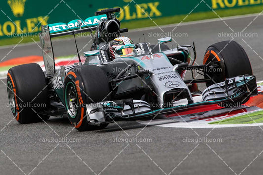 F1 2014 Lewis Hamilton - Mercedes - 20140053