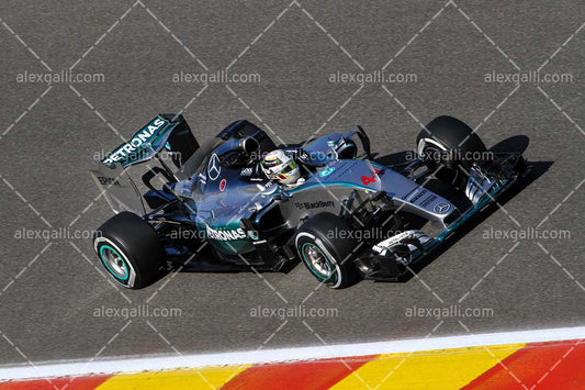 F1 2015 Lewis Hamilton - Mercedes - 20150050