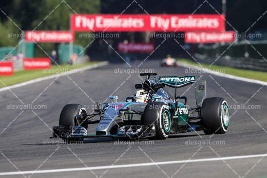 F1 2015 Lewis Hamilton - Mercedes - 20150051