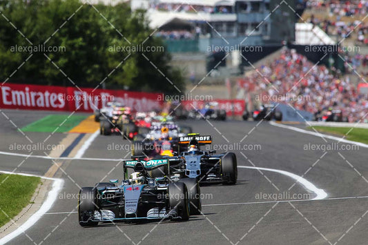 F1 2015 Lewis Hamilton - Mercedes - 20150052