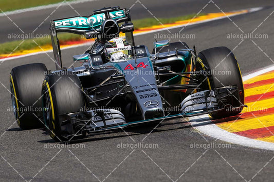 F1 2015 Lewis Hamilton - Mercedes - 20150053