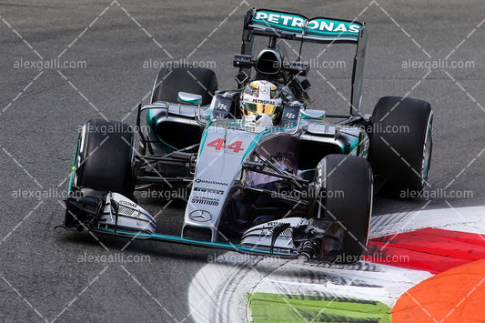 F1 2015 Lewis Hamilton - Mercedes - 20150055