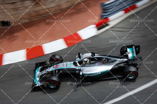 F1 2015 Lewis Hamilton - Mercedes - 20150057