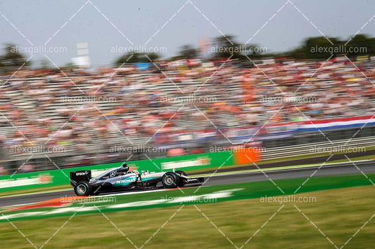 F1 2016 Lewis Hamilton - Mercedes - 20160043