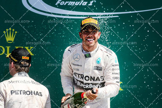 F1 2015 Lewis Hamilton - Mercedes - 20150040