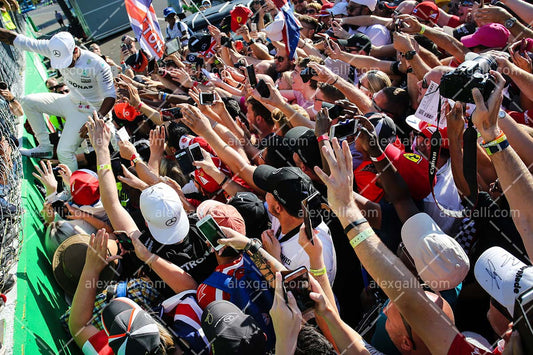 F1 2017 Lewis Hamilton - Mercedes - 20170017