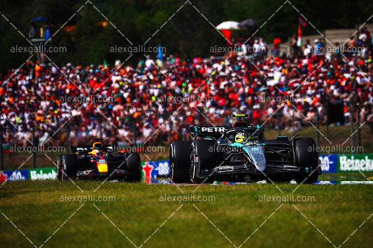 F1 2024 - Lewis Hamilton - Mercedes - 240159