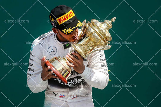 F1 2015 Lewis Hamilton - Mercedes - 20150041
