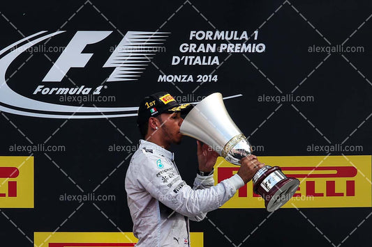 F1 2014 Lewis Hamilton - Mercedes - 20140044