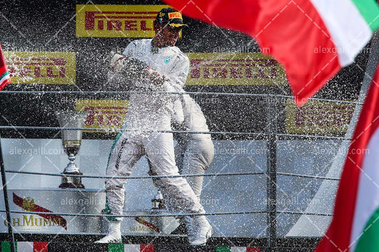 F1 2014 Lewis Hamilton - Mercedes - 20140045