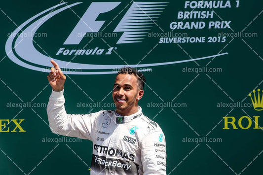 F1 2015 Lewis Hamilton - Mercedes - 20150042