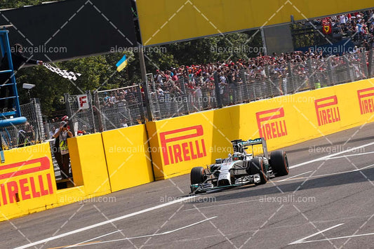 F1 2014 Lewis Hamilton - Mercedes - 20140046
