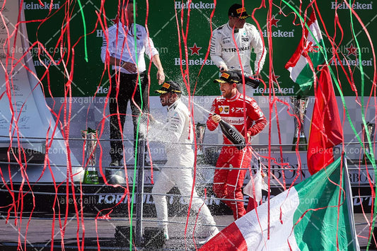 F1 2017 Lewis Hamilton - Mercedes - 20170020