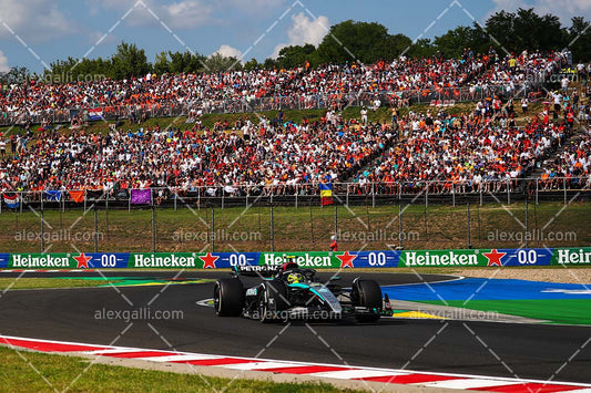 F1 2024 - Lewis Hamilton - Mercedes - 240161