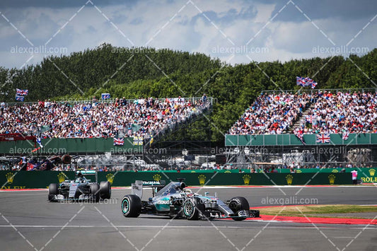 F1 2015 Lewis Hamilton - Mercedes - 20150044