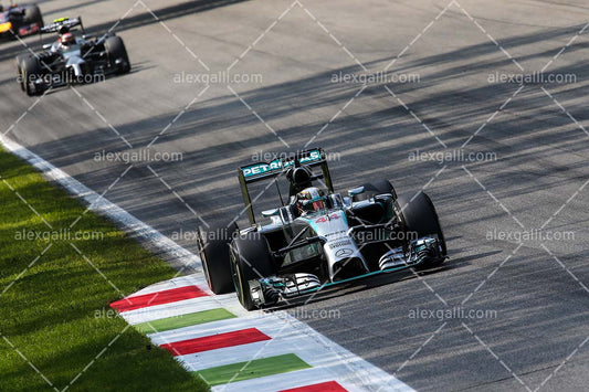 F1 2014 Lewis Hamilton - Mercedes - 20140047