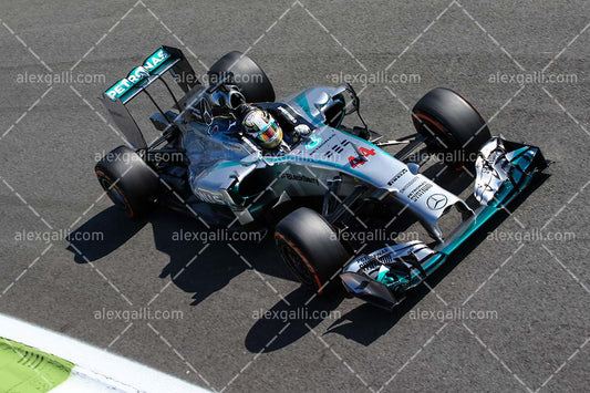 F1 2014 Lewis Hamilton - Mercedes - 20140048