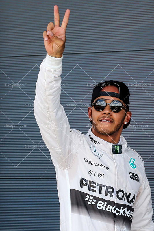 F1 2015 Lewis Hamilton - Mercedes - 20150045