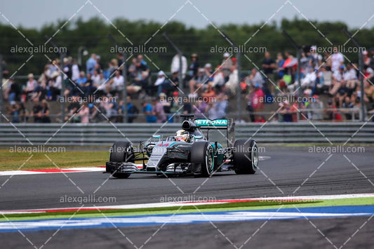 F1 2015 Lewis Hamilton - Mercedes - 20150046