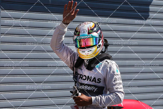 F1 2014 Lewis Hamilton - Mercedes - 20140049