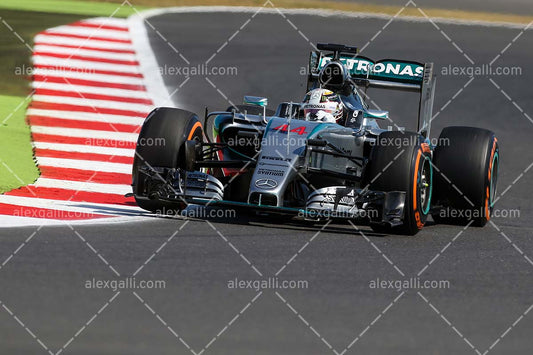 F1 2015 Lewis Hamilton - Mercedes - 20150047