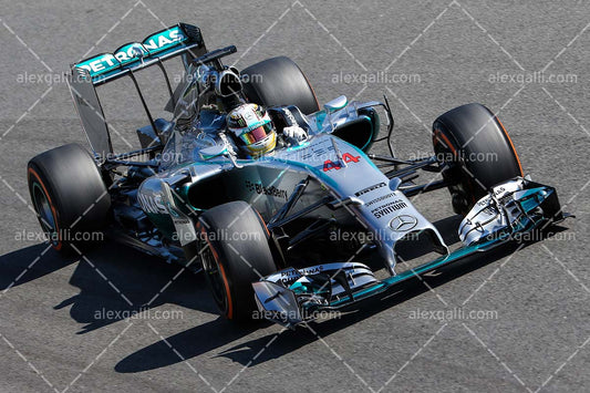 F1 2014 Lewis Hamilton - Mercedes - 20140050