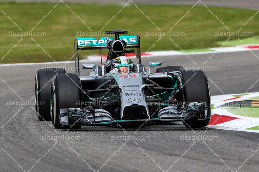F1 2014 Lewis Hamilton - Mercedes - 20140051