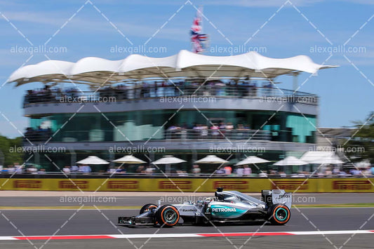 F1 2015 Lewis Hamilton - Mercedes - 20150048