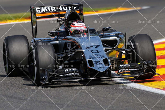 F1 2015 Nico Hulkenberg - Force India - 20150066