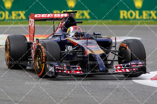 F1 2014 Daniil Kvyat - Toro Rosso - 20140064