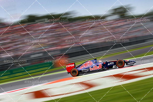 F1 2014 Daniil Kvyat - Toro Rosso - 20140065