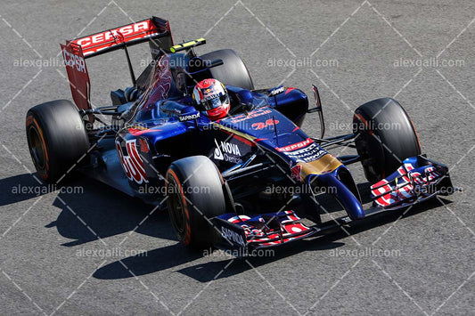 F1 2014 Daniil Kvyat - Toro Rosso - 20140067
