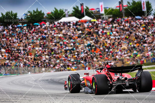 F1 2023 - 07 Spain GP - Charles Leclerc - Ferrari - 2307003