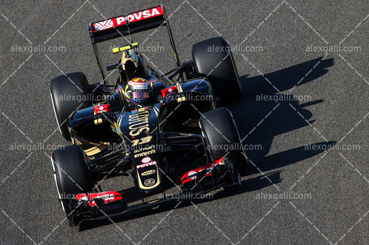 F1 2015 Pastor Maldonado - Lotus - 20150077