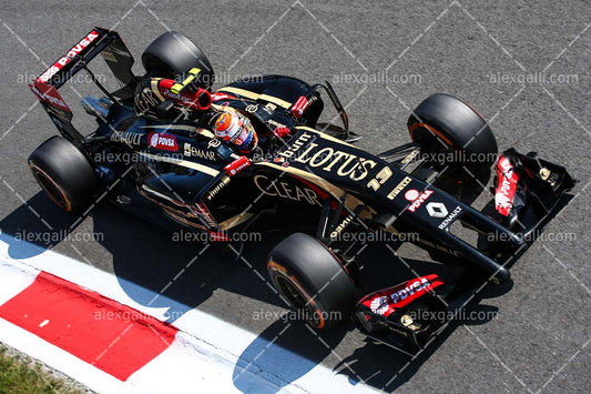 F1 2014 Pastor Maldonado - Lotus - 20140074