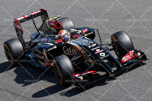 F1 2014 Pastor Maldonado - Lotus - 20140075