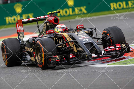 F1 2014 Pastor Maldonado - Lotus - 20140076