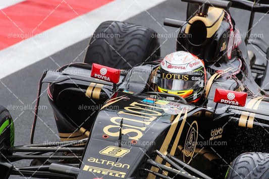 F1 2015 Pastor Maldonado - Lotus - 20150079