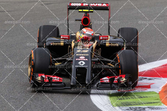 F1 2014 Pastor Maldonado - Lotus - 20140077